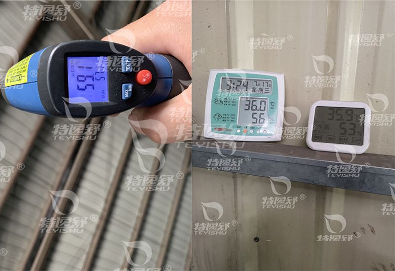 施工前后屋内表温度对比
