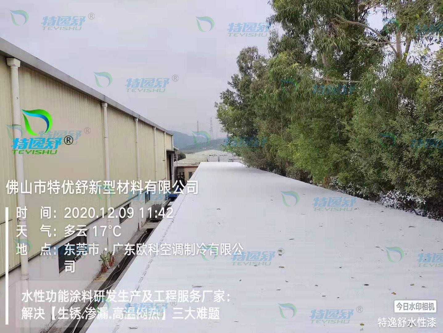 欧科2- 欧科2-